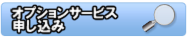 �I�v�V�����T�[�r�X�\����